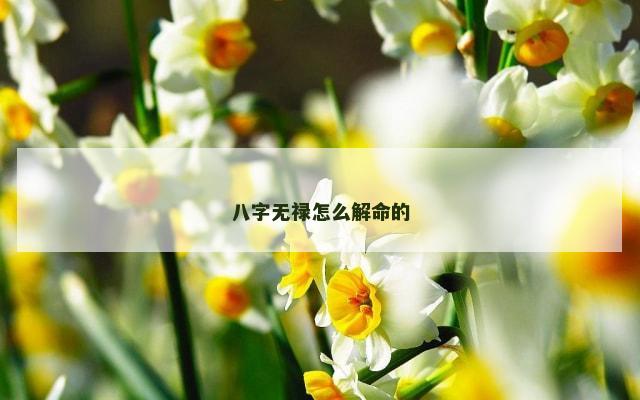 八字无禄怎么解命的