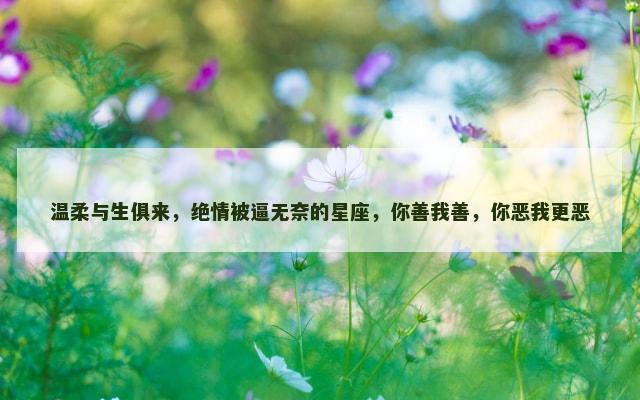 温柔与生俱来，绝情被逼无奈的星座，你善我善，你恶我更恶
