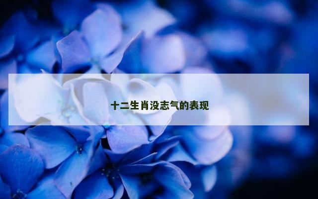 十二生肖没志气的表现