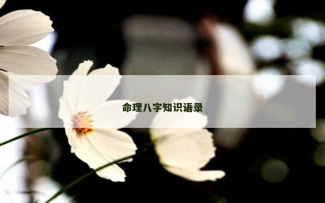 命理八字知识语录