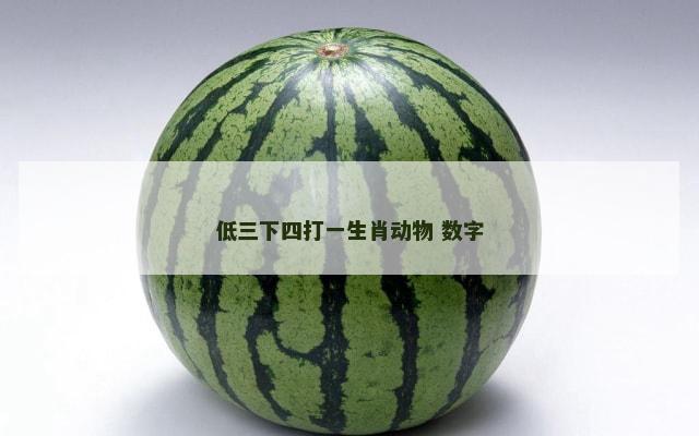 低三下四打一生肖动物 数字
