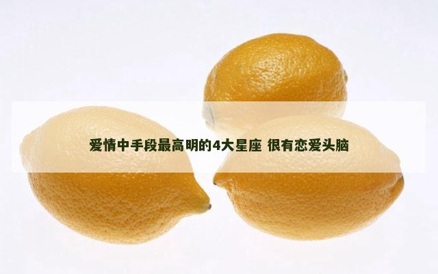 爱情中手段最高明的4大星座 很有恋爱头脑