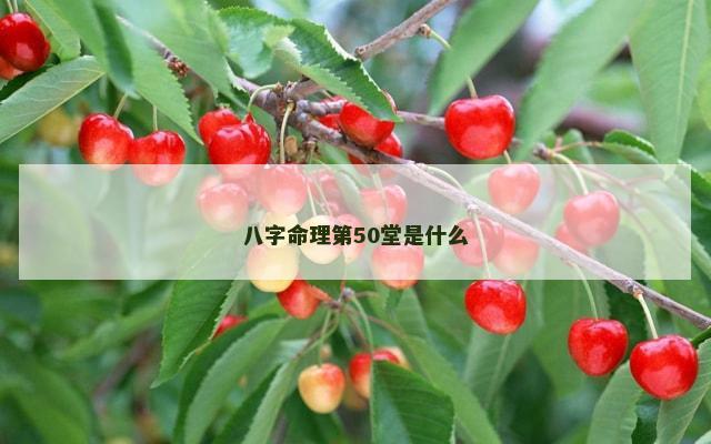 八字命理第50堂是什么