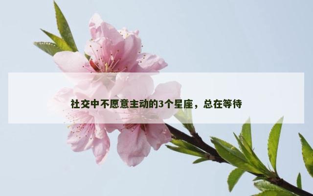 社交中不愿意主动的3个星座，总在等待