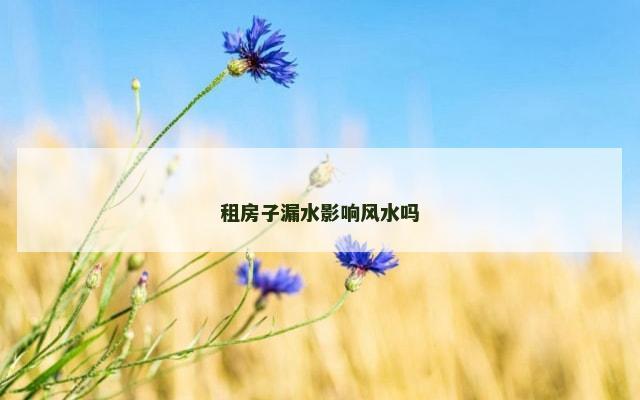 租房子漏水影响风水吗