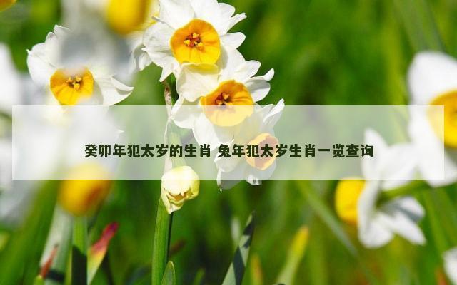 癸卯年犯太岁的生肖 兔年犯太岁生肖一览查询