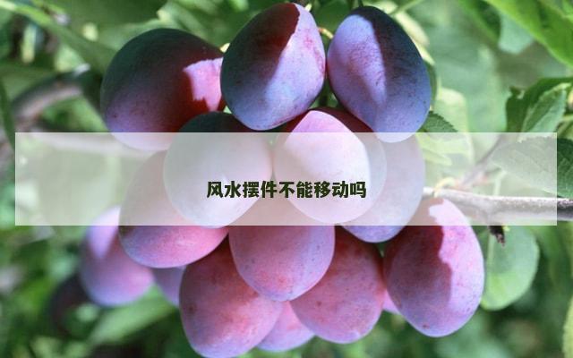 风水摆件不能移动吗