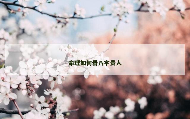 命理如何看八字贵人