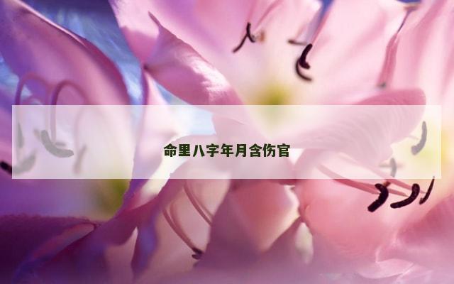 命里八字年月含伤官