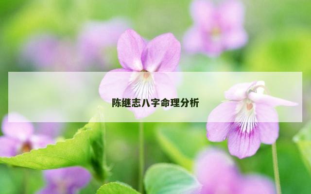 陈继志八字命理分析