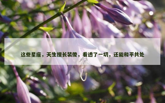 这些星座，天生擅长装傻，看透了一切，还能和平共处