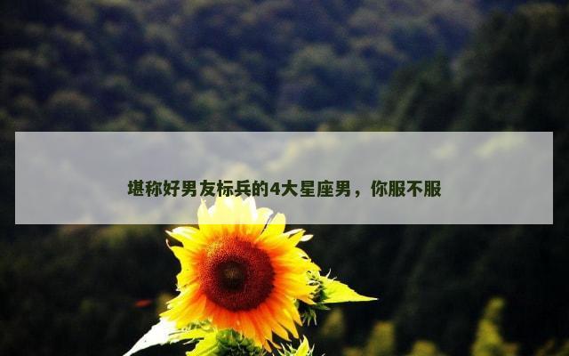 堪称好男友标兵的4大星座男，你服不服