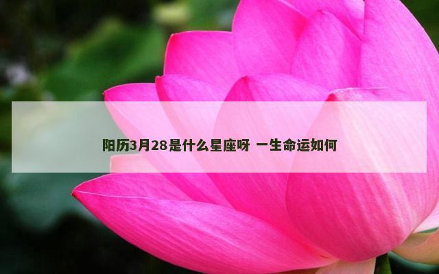 阳历3月28是什么星座呀 一生命运如何