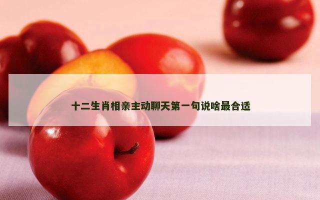 十二生肖相亲主动聊天第一句说啥最合适