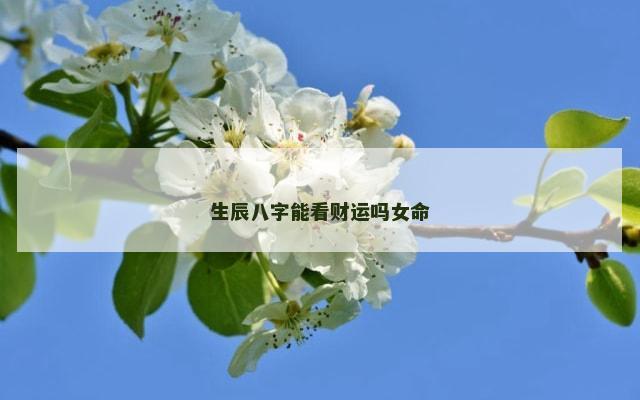 生辰八字能看财运吗女命