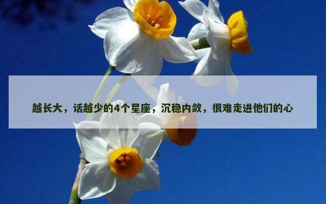 越长大，话越少的4个星座，沉稳内敛，很难走进他们的心