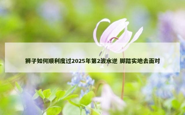 狮子如何顺利度过2025年第2波水逆 脚踏实地去面对