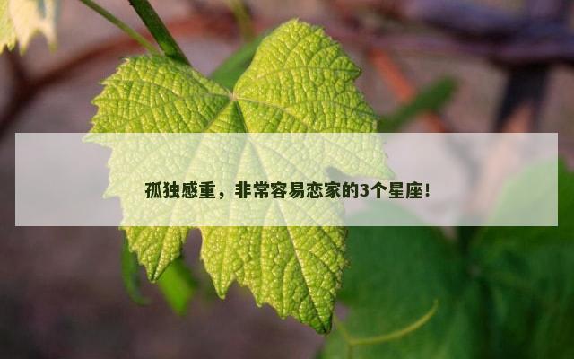孤独感重，非常容易恋家的3个星座！