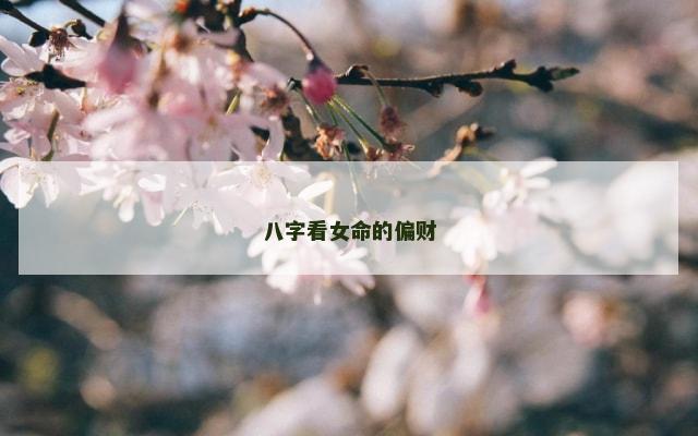 八字看女命的偏财
