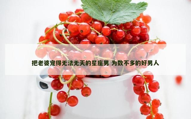 把老婆宠得无法无天的星座男 为数不多的好男人