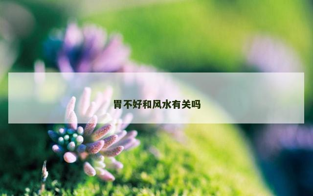 胃不好和风水有关吗
