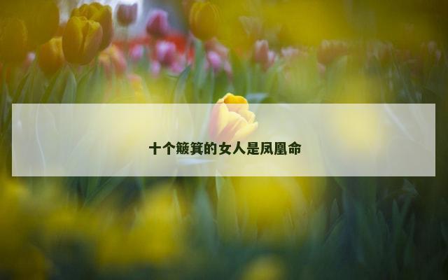 十个簸箕的女人是凤凰命
