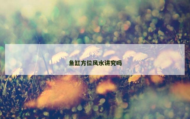 鱼缸方位风水讲究吗