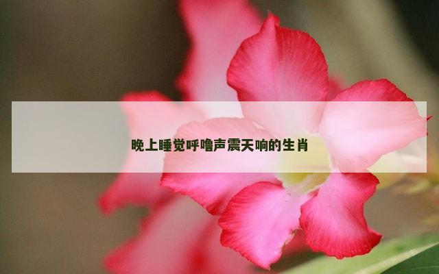 晚上睡觉呼噜声震天响的生肖