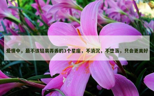 爱情中，最不该轻易弄丢的3个星座，不消沉，不堕落，只会更美好