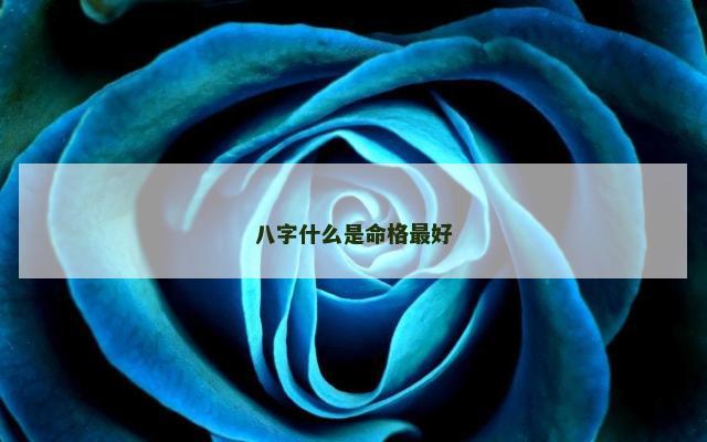 八字什么是命格最好