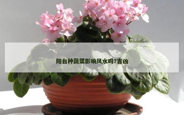 阳台种蔬菜影响风水吗?吉凶