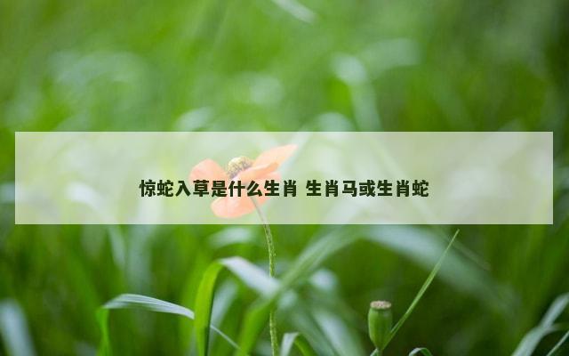 惊蛇入草是什么生肖 生肖马或生肖蛇