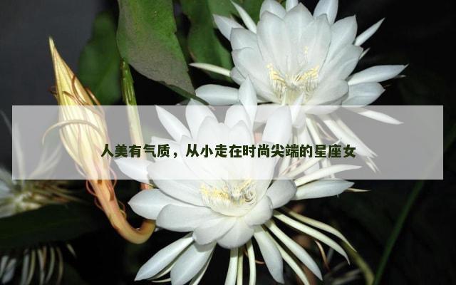 人美有气质，从小走在时尚尖端的星座女