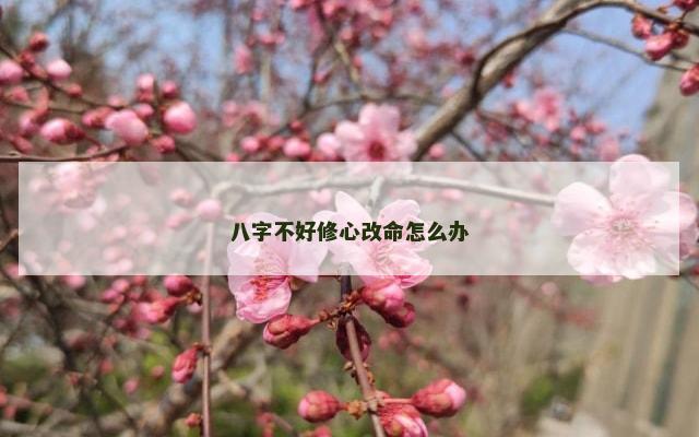 八字不好修心改命怎么办