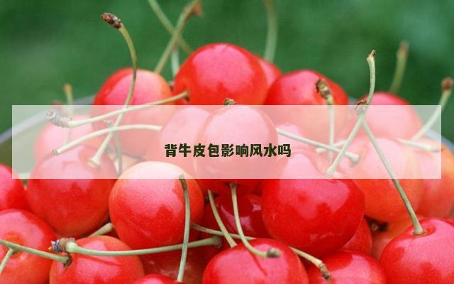 背牛皮包影响风水吗