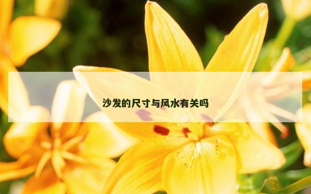 沙发的尺寸与风水有关吗
