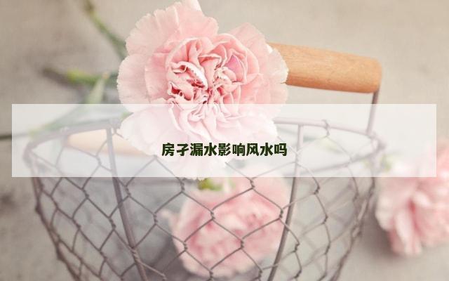 房孑漏水影响风水吗