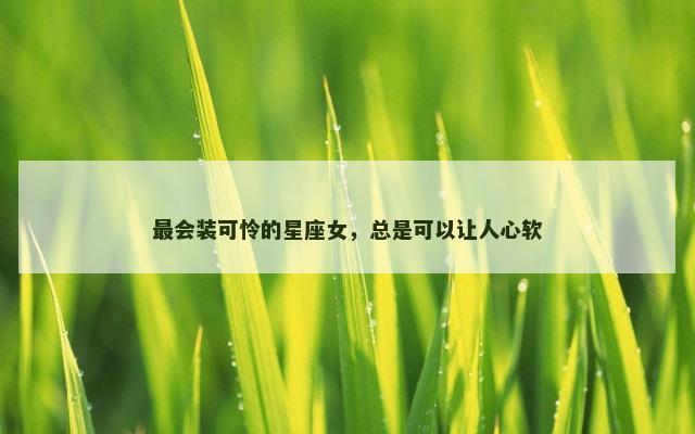 最会装可怜的星座女，总是可以让人心软