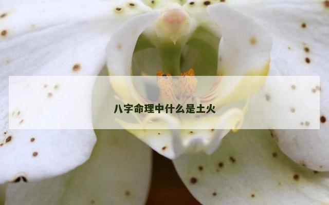 八字命理中什么是土火