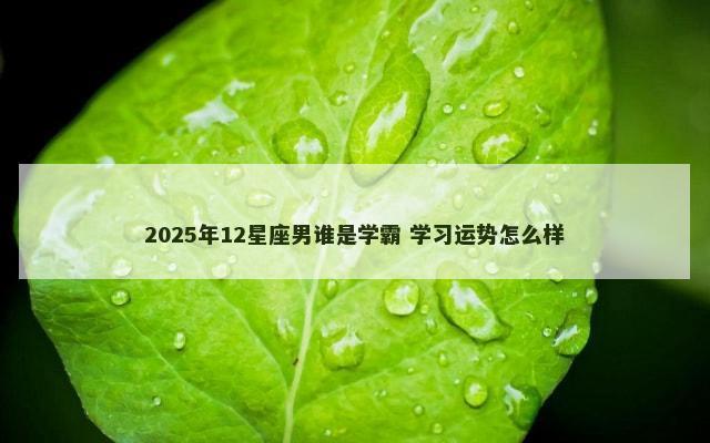 2025年12星座男谁是学霸 学习运势怎么样