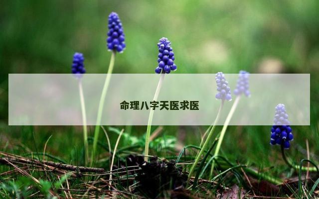 命理八字天医求医