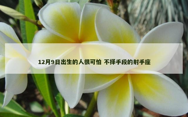 12月9日出生的人很可怕 不择手段的射手座