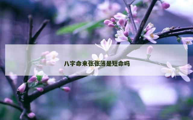 八字命来张张薄是短命吗