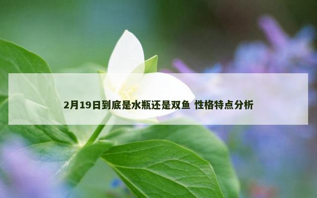 2月19日到底是水瓶还是双鱼 性格特点分析