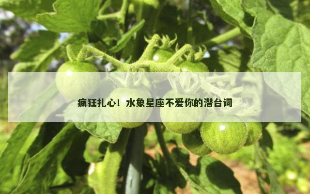 疯狂扎心！水象星座不爱你的潜台词