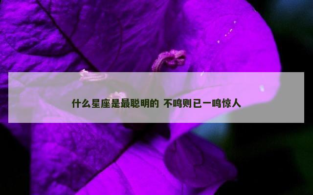 什么星座是最聪明的 不鸣则已一鸣惊人