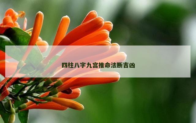 四柱八字九宫推命法断吉凶