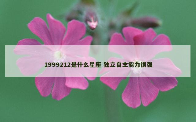 1999212是什么星座 独立自主能力很强