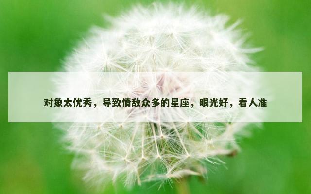 对象太优秀，导致情敌众多的星座，眼光好，看人准