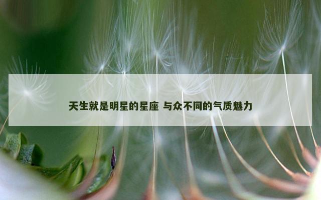 天生就是明星的星座 与众不同的气质魅力
